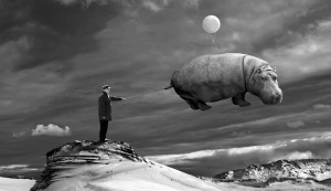 flying_hippo_by_Kleemass